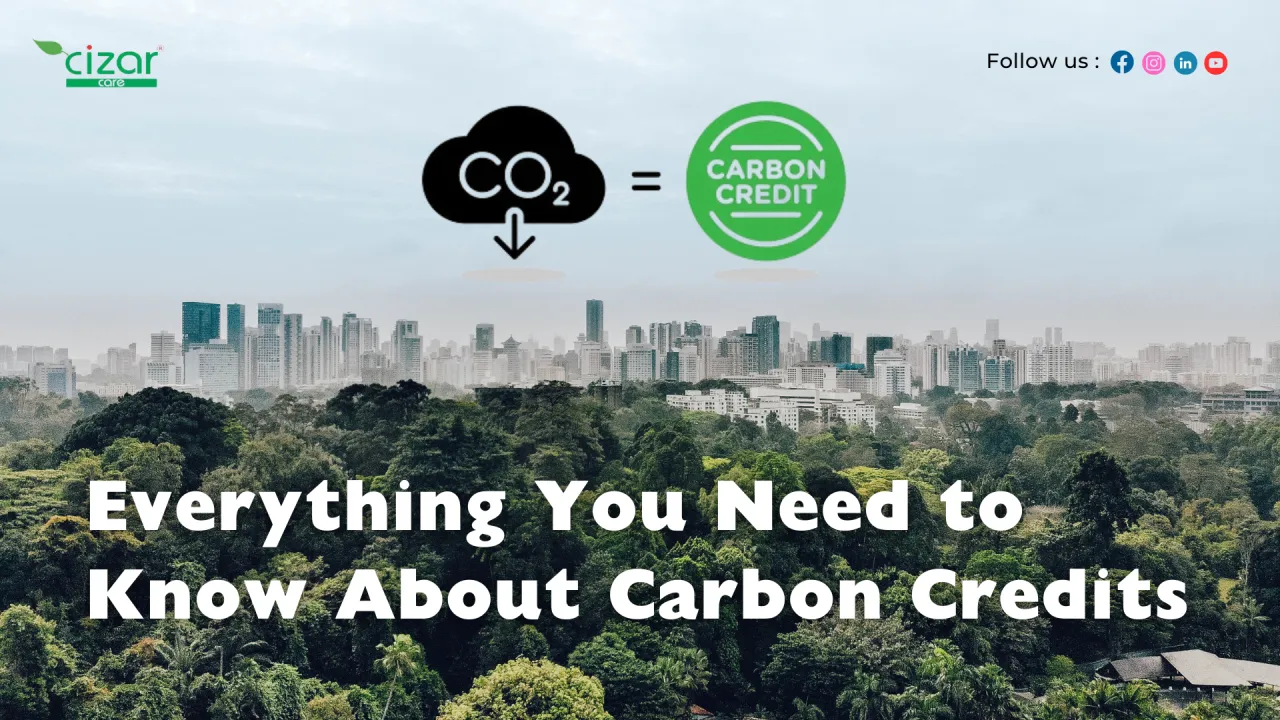 Everything You Need to Know About Carbon Credits